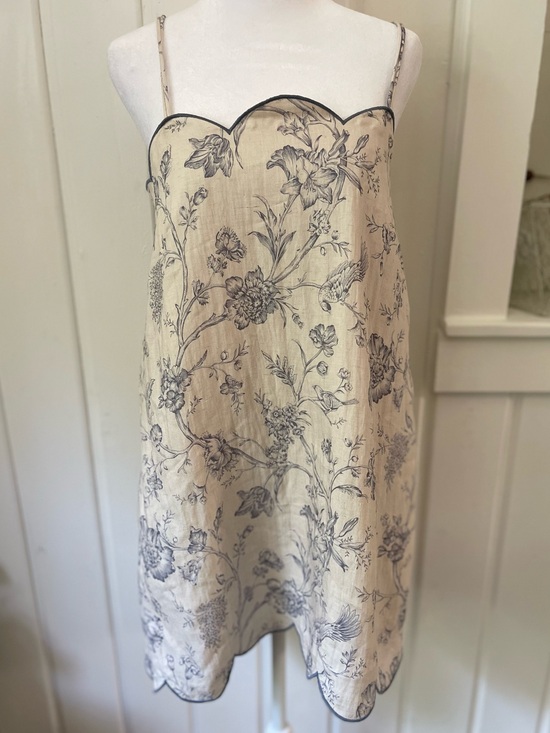 Mable Dresses & Skirts - MABLE Scalloped Cream Blue Toile Mini
